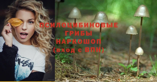 Альфа ПВП Баксан