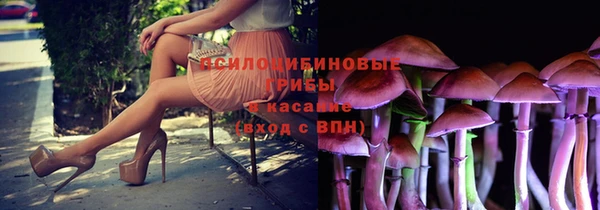 Альфа ПВП Баксан